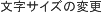 文字サイズの変更