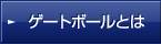 ゲートボールとは